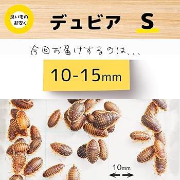 爬虫類・両生類のエサ PM10 PL20 ADM10 ADL50 爬虫類・両生類のエサ PM10 PL20 ADM10 ADL50 爬虫類・両生類の